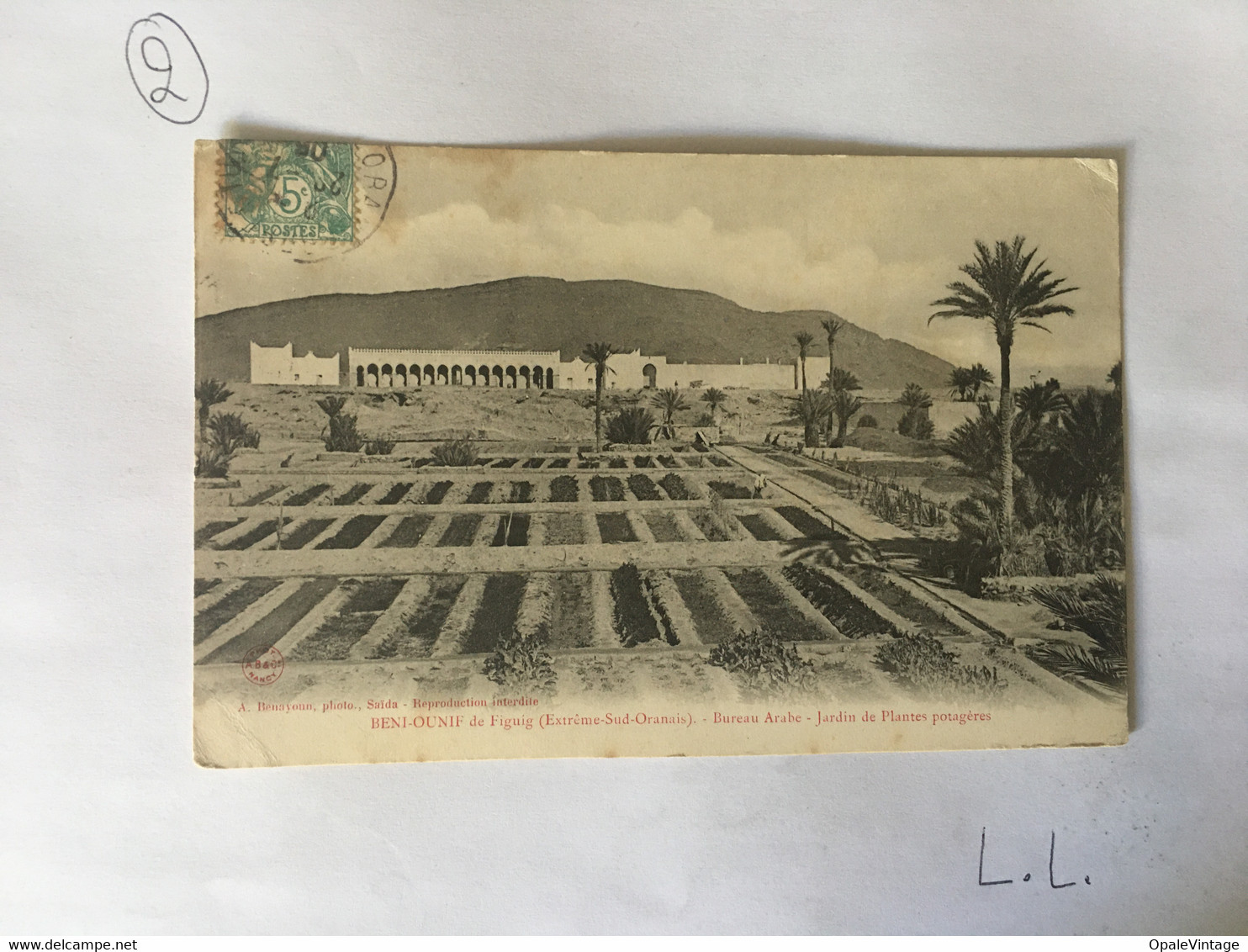 CPA Algérie  - BENI-OUNIF De Figuig (extrême Sud Oranais) - Bureau Arabe - Jardin De Plantes Potagères - Altri & Non Classificati