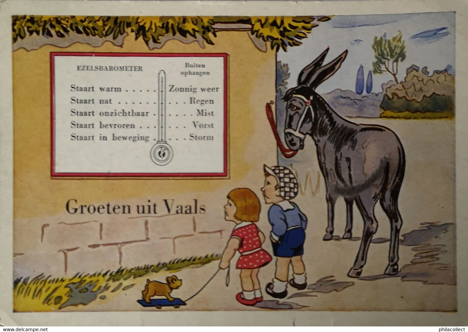 Vaals (Lim.) 3 Lander Eck // Humor - Ezelbarometer 1955 - Vaals