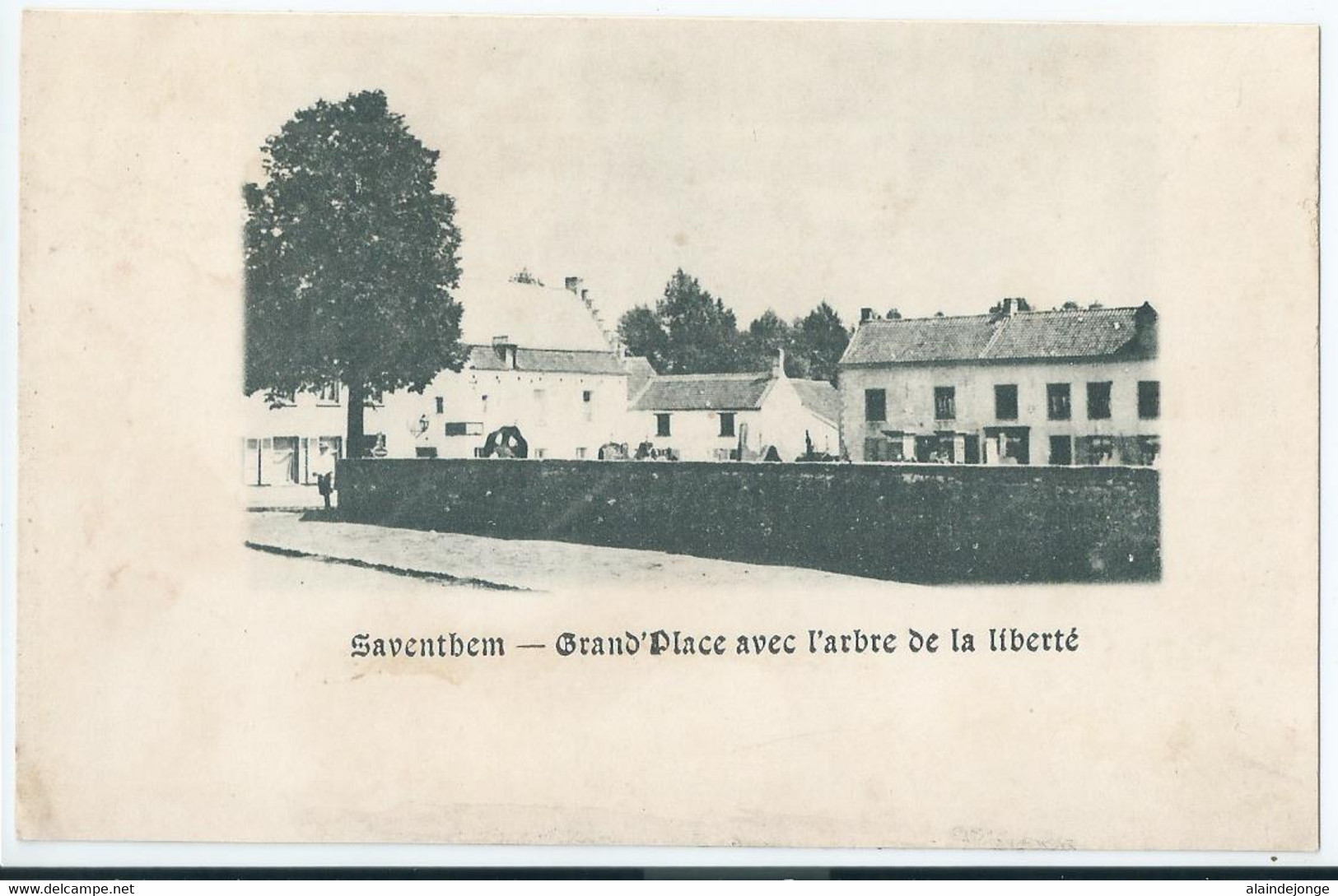 Zaventem - Saventhem - Grand'Place Avec L'arbre De La Liberté - Zaventem