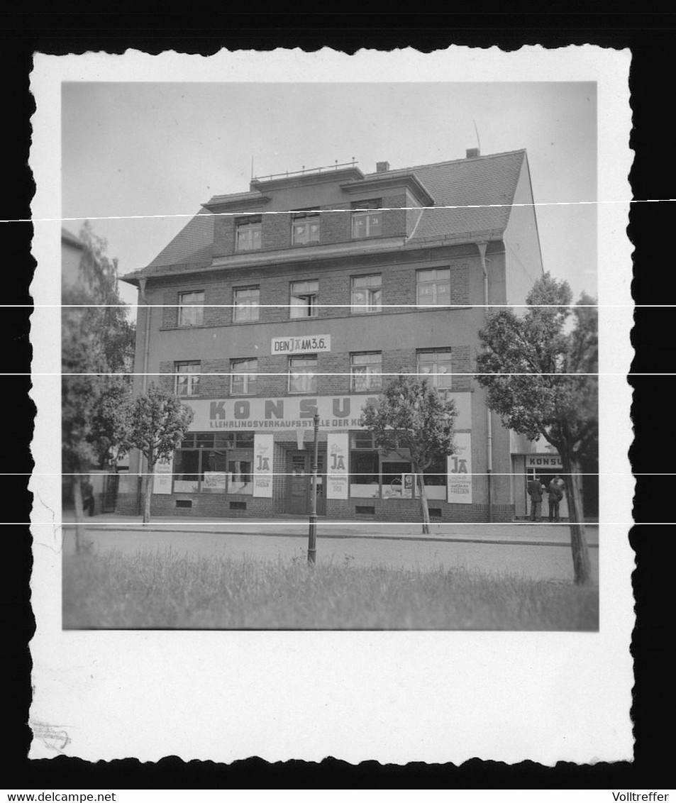 Orig. Foto 1951, KONSUM Borna Sachsen, 1. Konsum Lehrlingsverkaufstelle, Wahl Propaganda - Borna