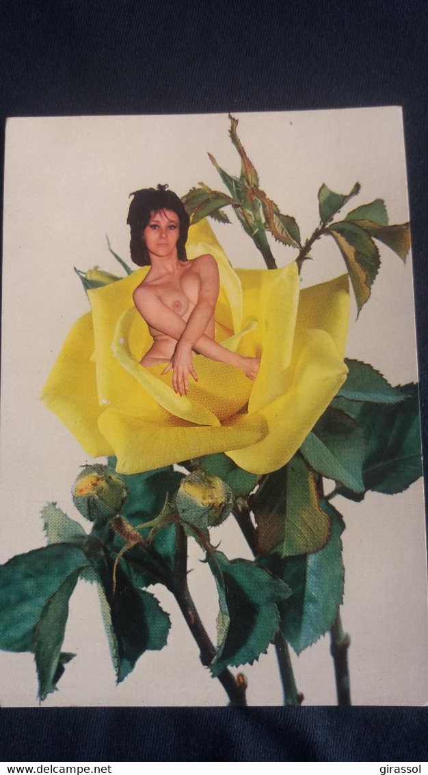 CPSM PIN UP FEMME NUE NU DANS UNE ROSE JAUNE GEANTE - Pin-Ups