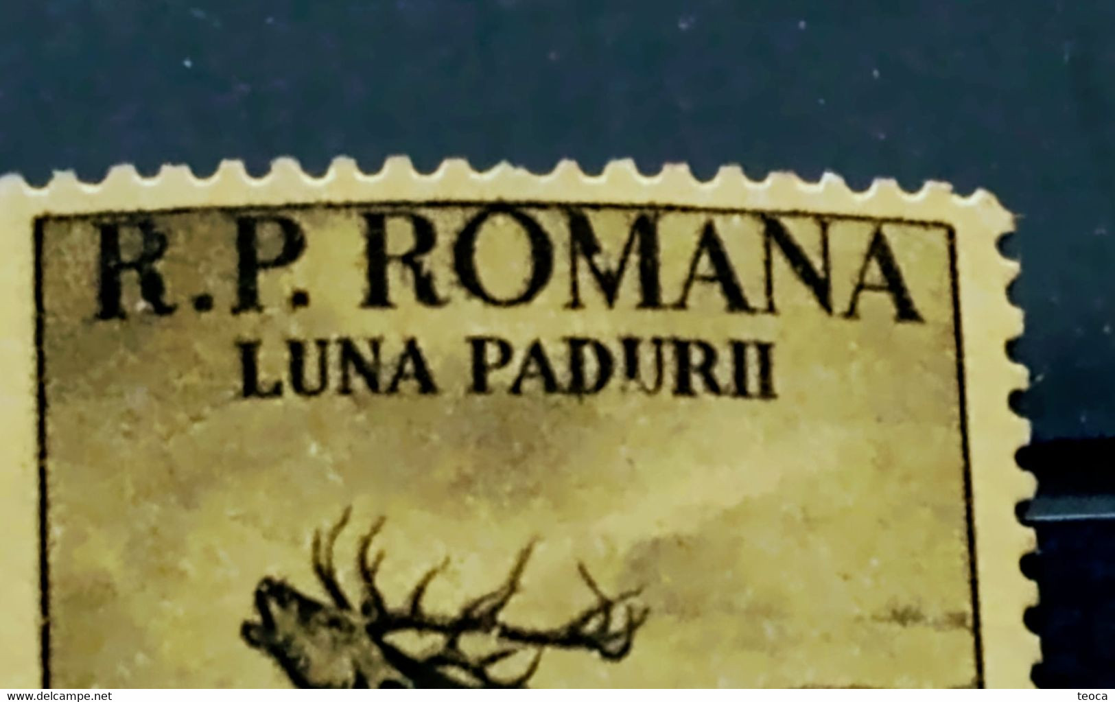 Errors Romania 1954 # Mi 1464 Printed With Letters Broken, Deer Animal Fauna - Abarten Und Kuriositäten