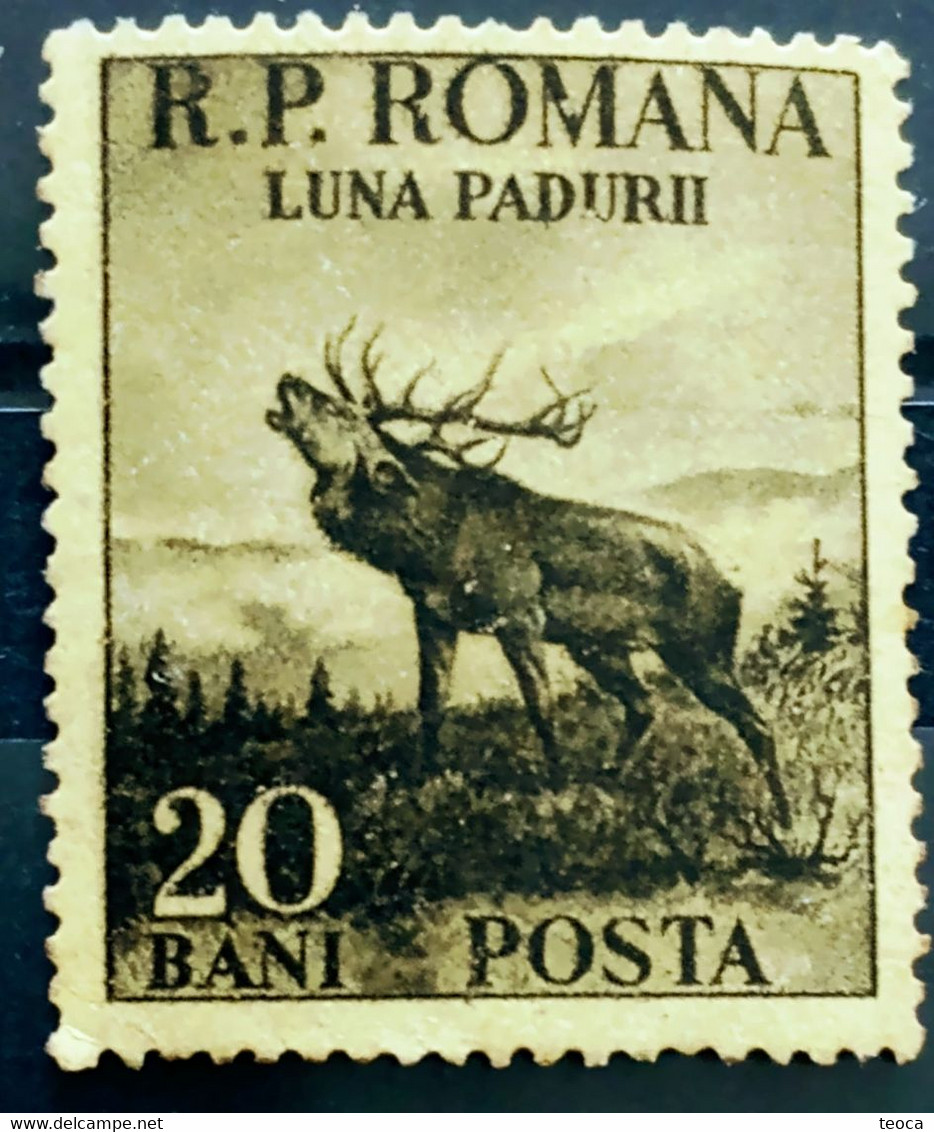 Errors Romania 1954 # Mi 1464 Printed With Letters Broken, Deer Animal Fauna - Variedades Y Curiosidades