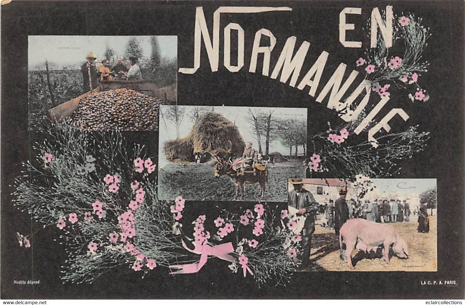 Divers  Non Classé.     14     Normandie.  Lot De 16  Cartes Sur Le Thème . Agriculture  Fête  Ane Lavoir   (voir Scan) - Altri & Non Classificati