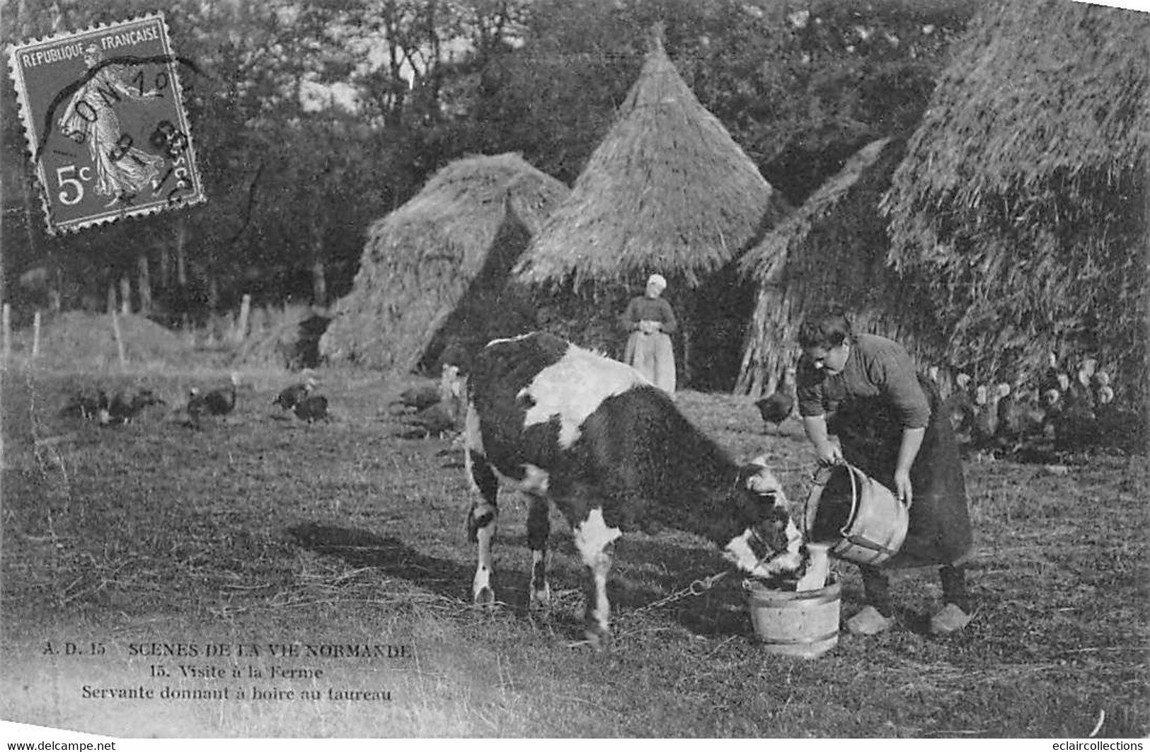 Divers  Non classé.     14     Normandie.  Lot de 16  cartes sur le thème . Agriculture  Fête  Ane Lavoir   (voir scan)