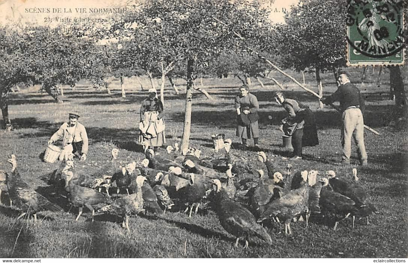 Divers  Non classé.     14     Normandie.  Lot de 16  cartes sur le thème . Agriculture  Fête  Ane Lavoir   (voir scan)