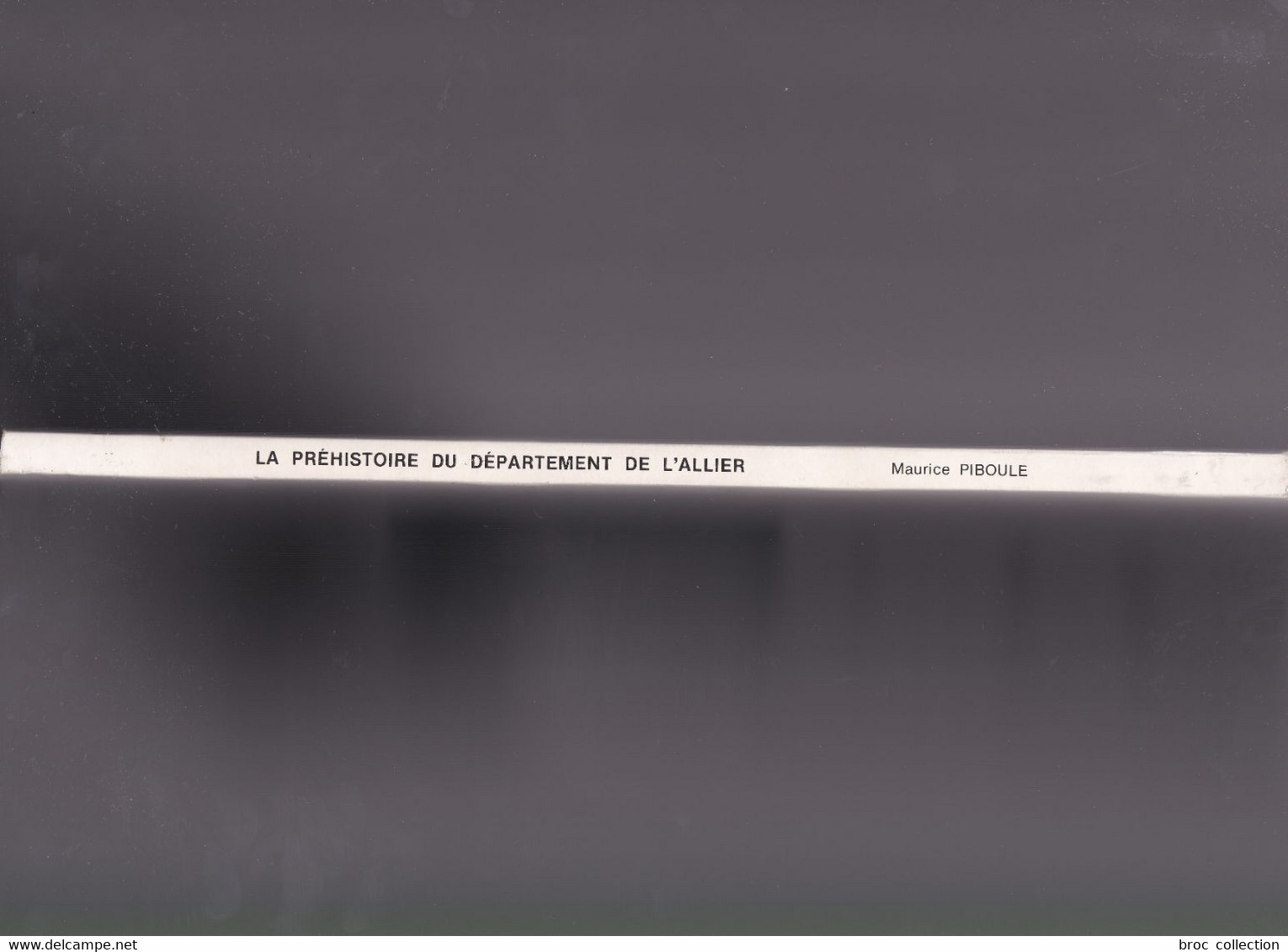 La Préhistoire Du Département De L'Allier, Connaissance Du Bourbonnaise, Maurice Piboule - Bourbonnais