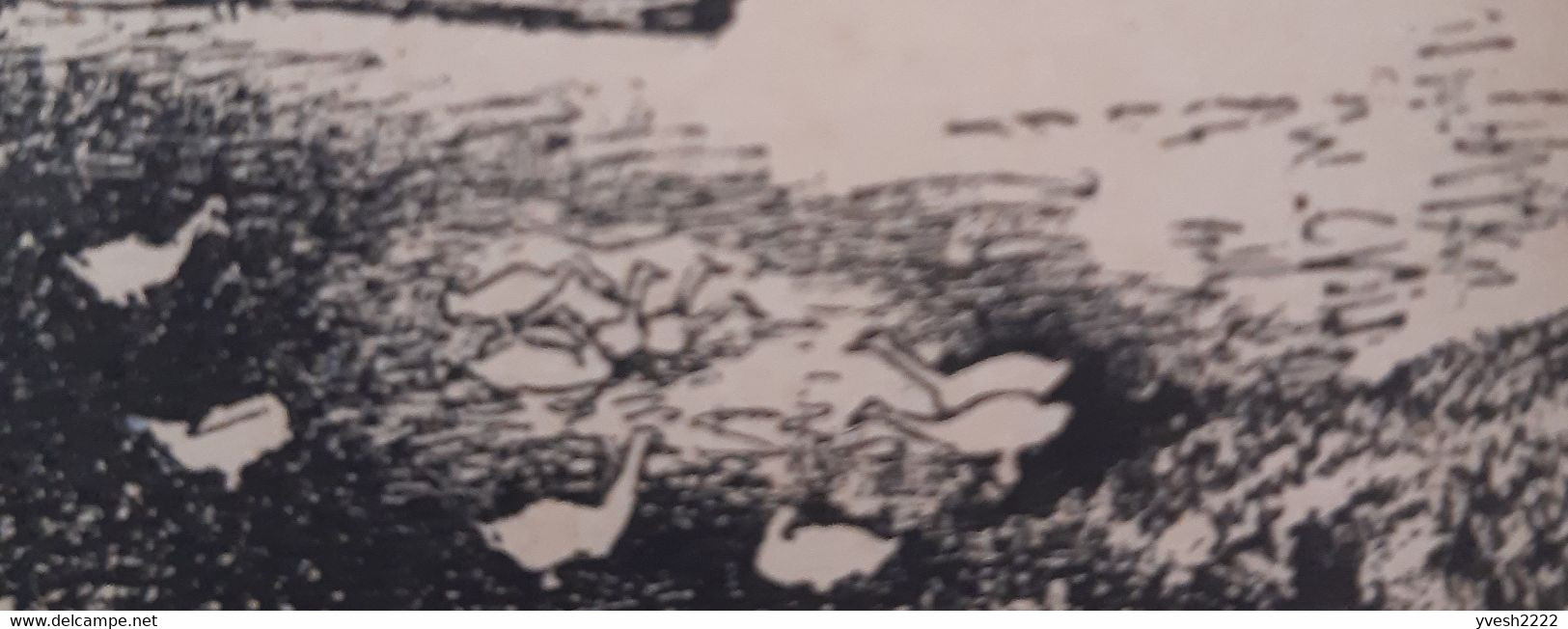 Allemagne 1941. Livre Illustré De Franchise Militaire.  Theodor Storm, Oies, Histoire De La Vie Du Poète, Arthur Illies - Geese