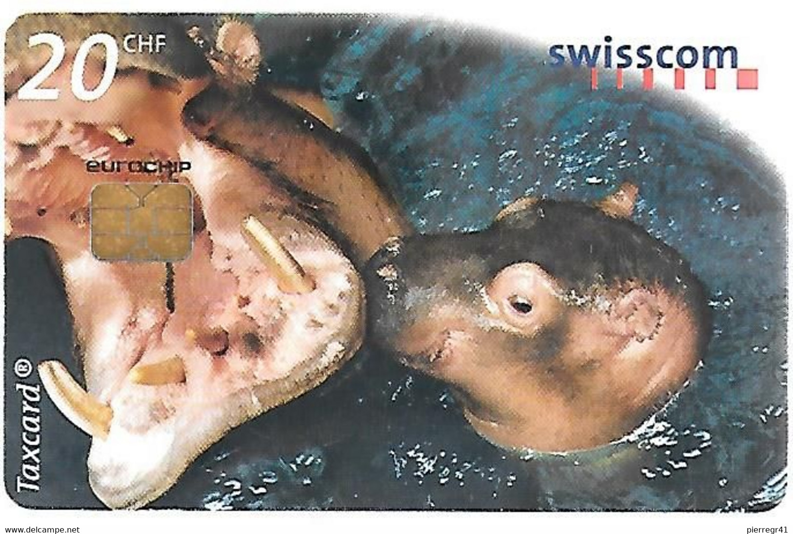 CARTE PUCE-SUISSE-20CHS-6/99-HYPPOPOTAMES-Utilisé-TBE - Jungle