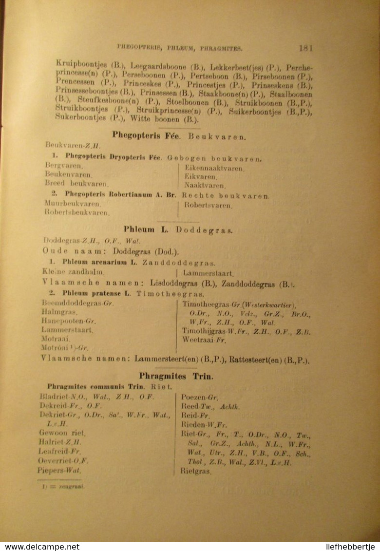 Woordenboek Der Nederlandsche Volksnamen Van Planten - 1907 - Plantennamen Kruiden ... - Antique