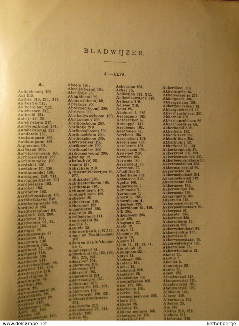 Woordenboek Der Nederlandsche Volksnamen Van Planten - 1907 - Plantennamen Kruiden ... - Oud