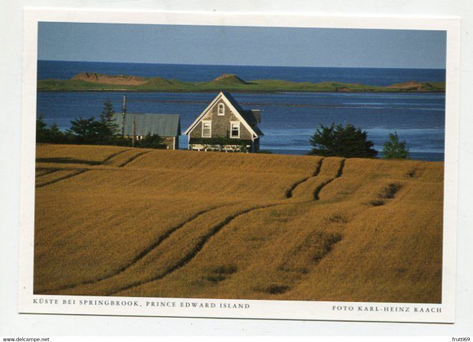 AK 074840 CANADA - Prince Edward Island - Küste Bei Sringbrook - Altri & Non Classificati