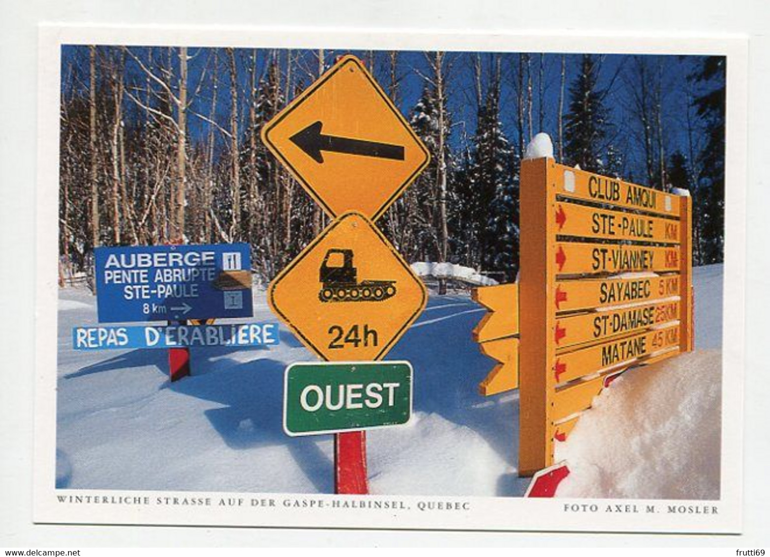 AK 074841 CANADA - Quebec - Winterliche Strasse Auf Der Gaspe-Halbinsel - Gaspé