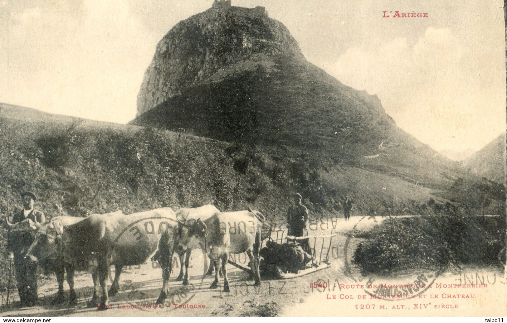 09 - Route De Montsegur à Montferrier - Col Château - Attelages De Vaches Tirant Un Traîneau - Sonstige & Ohne Zuordnung