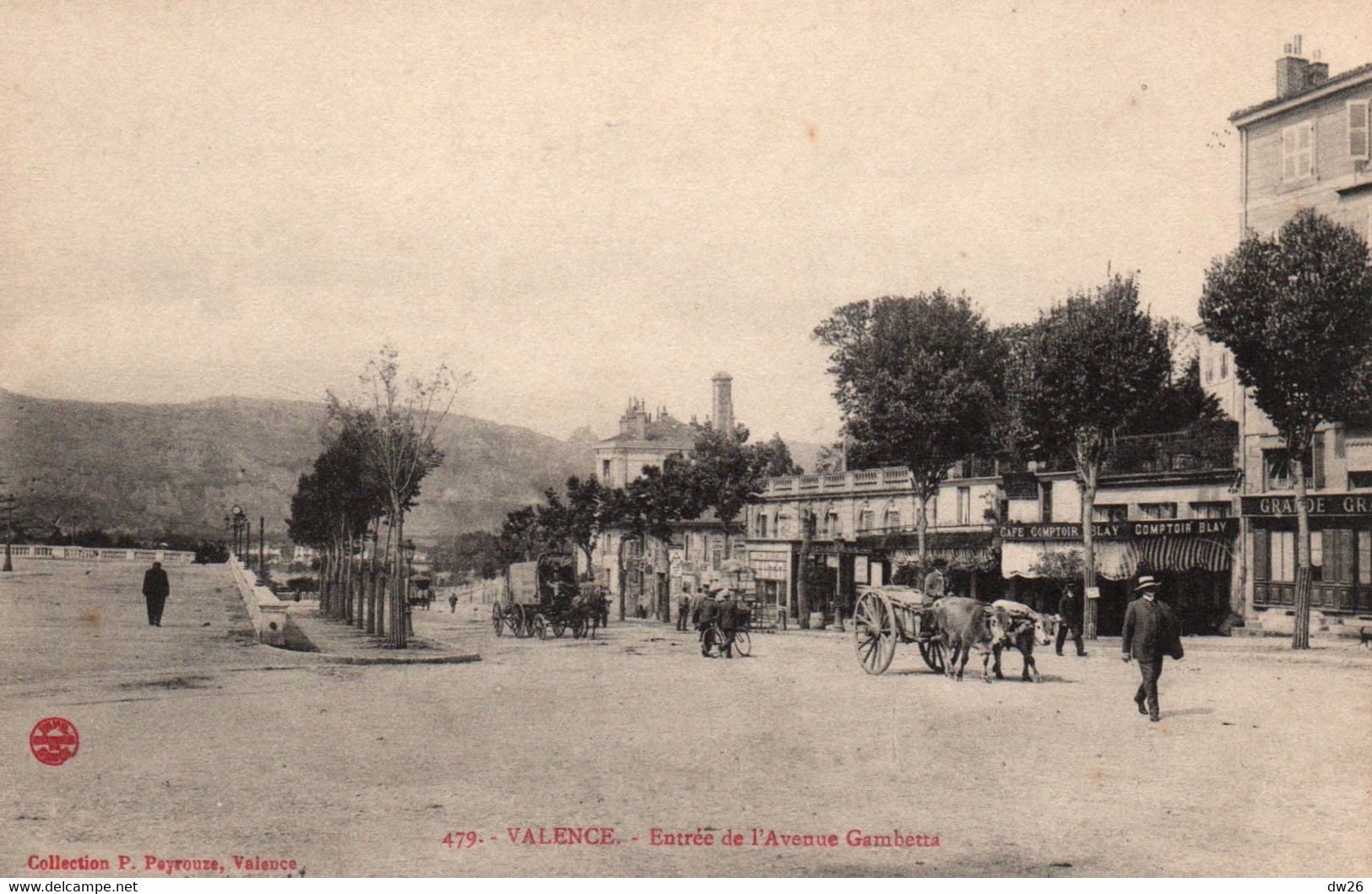 Valence - Entrée De L'Avenue Gambetta, Attelage De Boeufs - Collection P. Peyrouze - Carte N° 479 Non Circulée - Valence