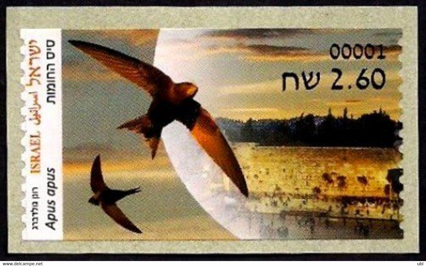 ISRAEL 2022 - Animals In Domestic Areas, The Common Swift - Philatelic Bureau ATM # 001 Label - MNH - Swallows