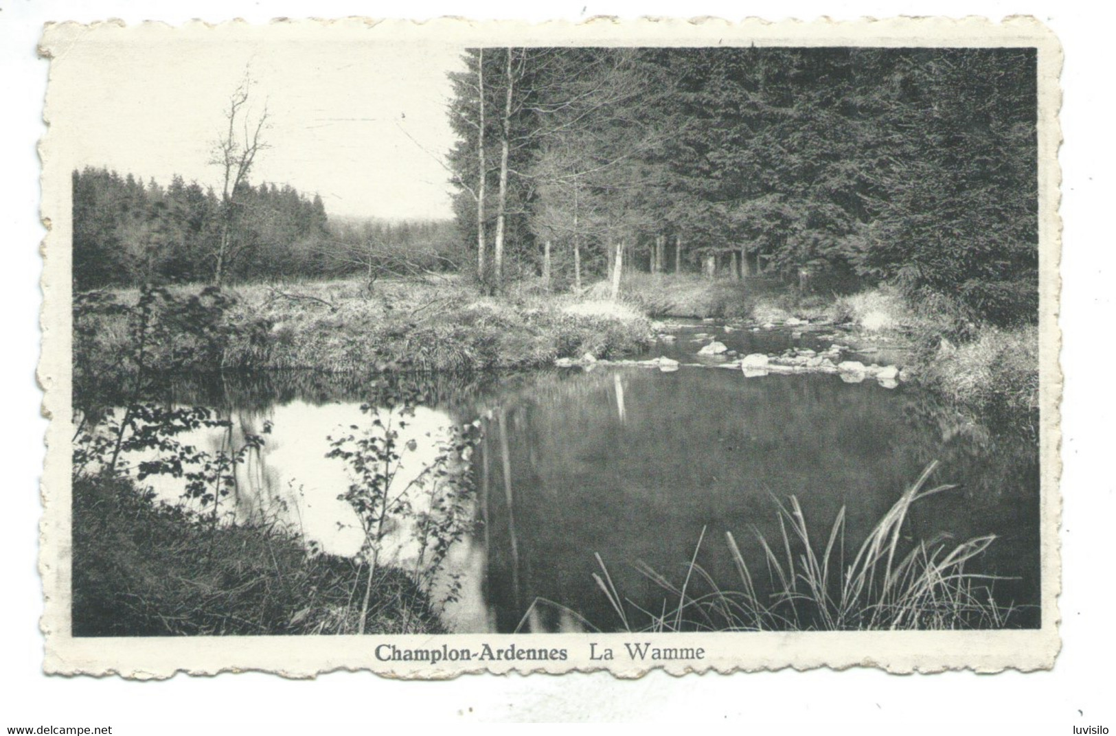 Champlon Ardennes La Wamme - Tenneville