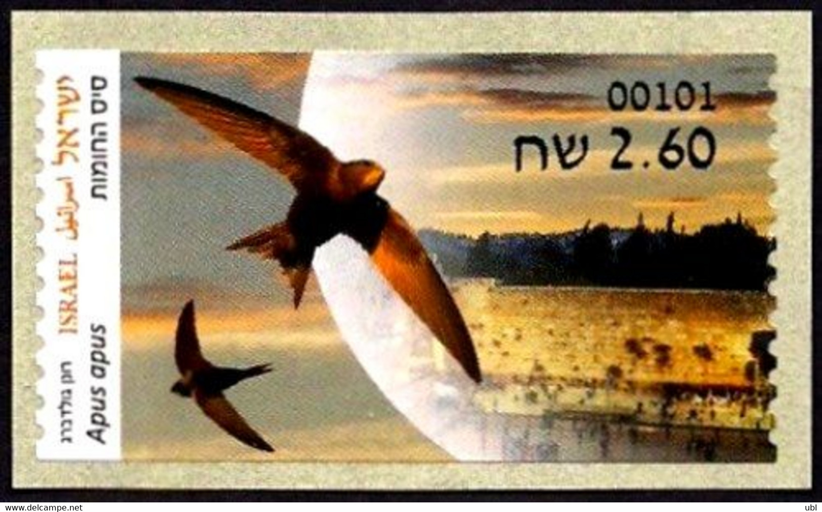 ISRAEL 2022 - Animals In Domestic Areas, The Common Swift - Jerusalem ATM # 101 Label - MNH - Golondrinas