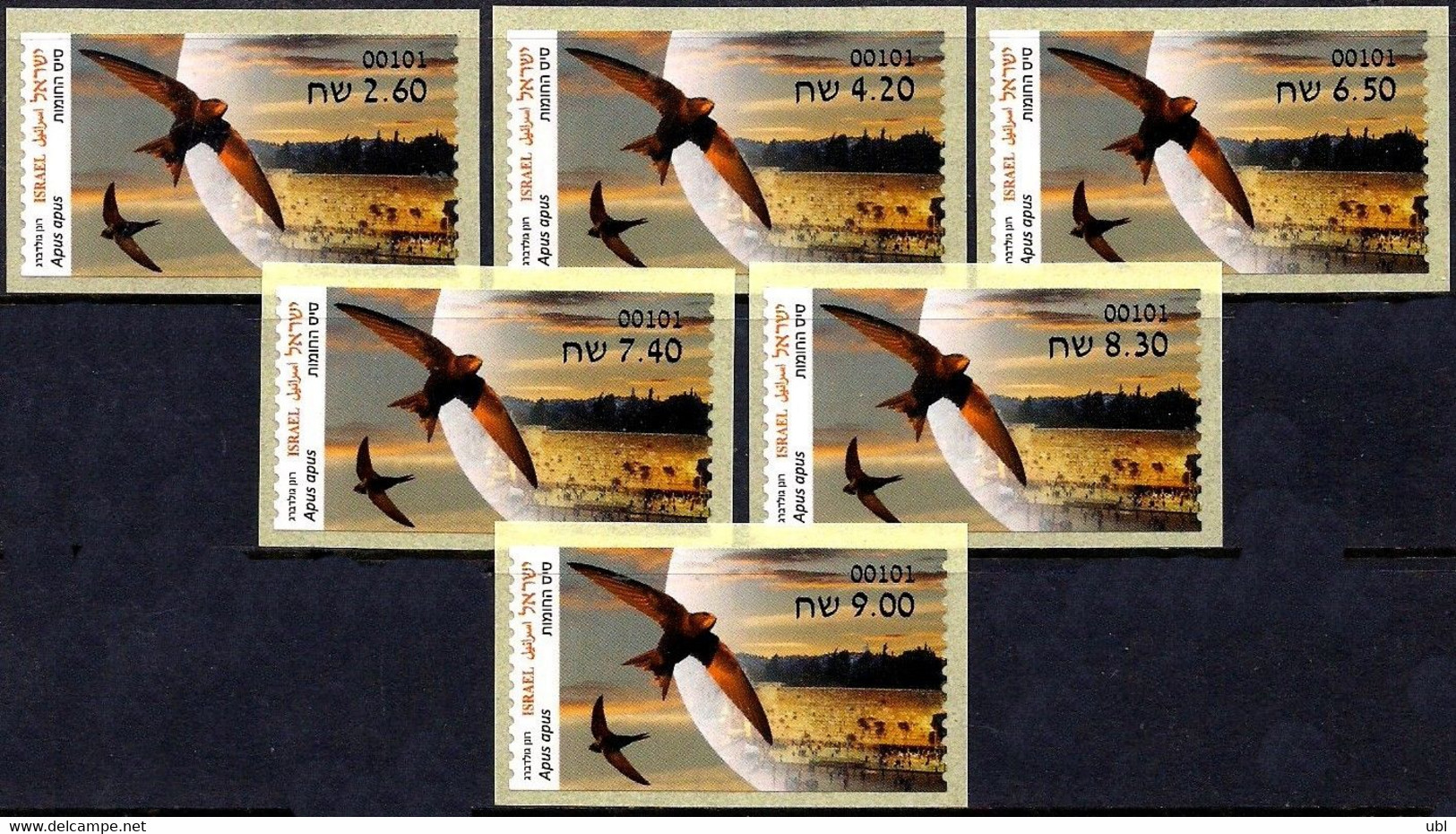 ISRAEL 2022 - Animals In Domestic Areas, The Common Swift - 6 Jerusalem ATM # 101 Labels - MNH - Zwaluwen