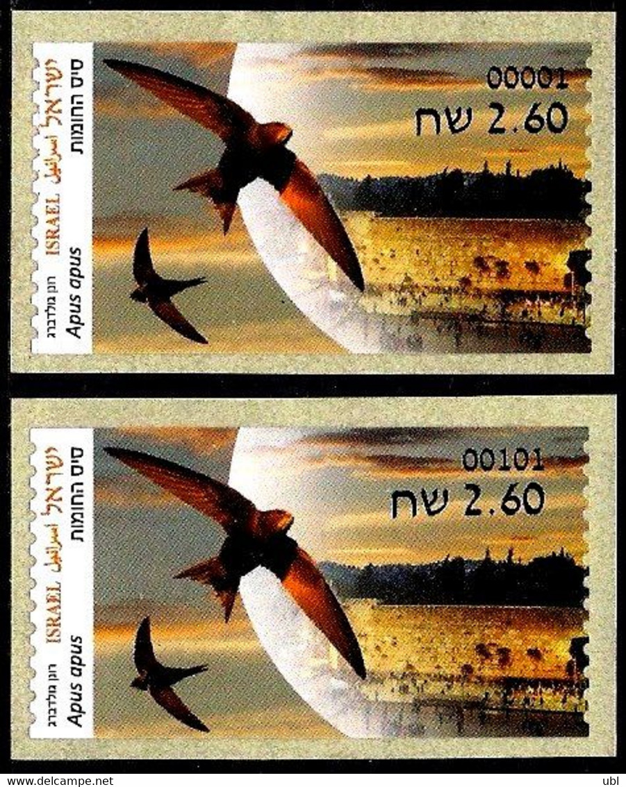 ISRAEL 2022 - Animals In Domestic Areas, The Common Swift - Phil. Bureau ATM # 001 & Jerusalem ATM # 101 Labels - MNH - Swallows