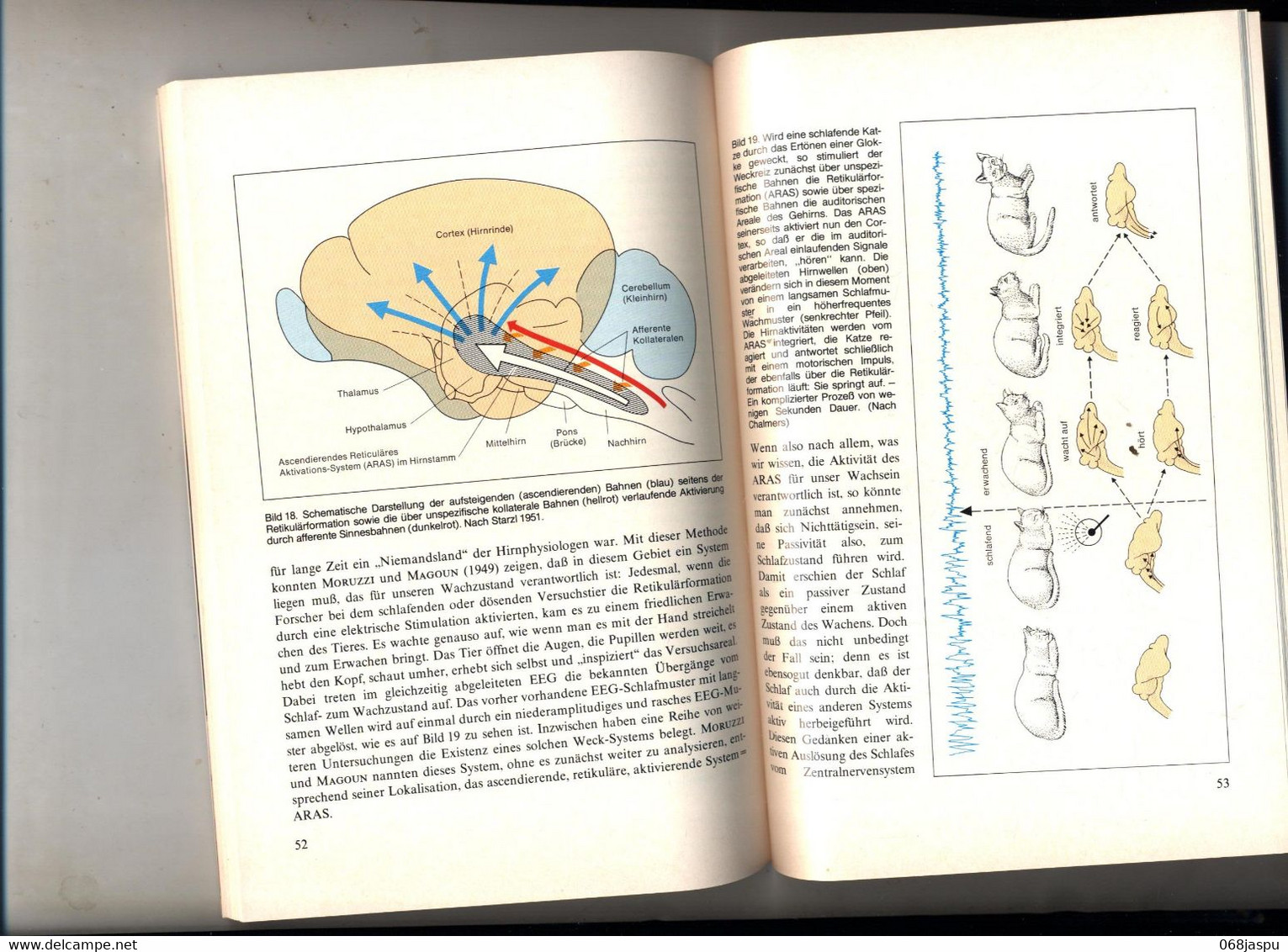 Livre Edition Kosmos  Sommeil Et Reve Par Becker-carus - Natuur