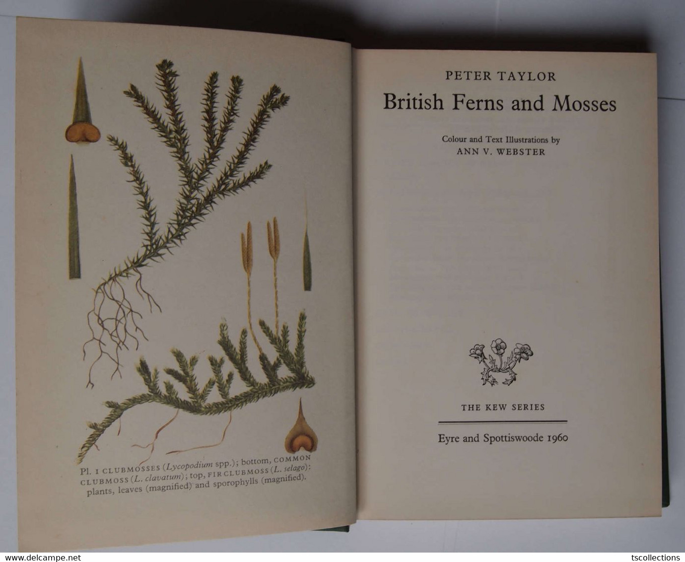 British Ferns And Mosses - Fauna