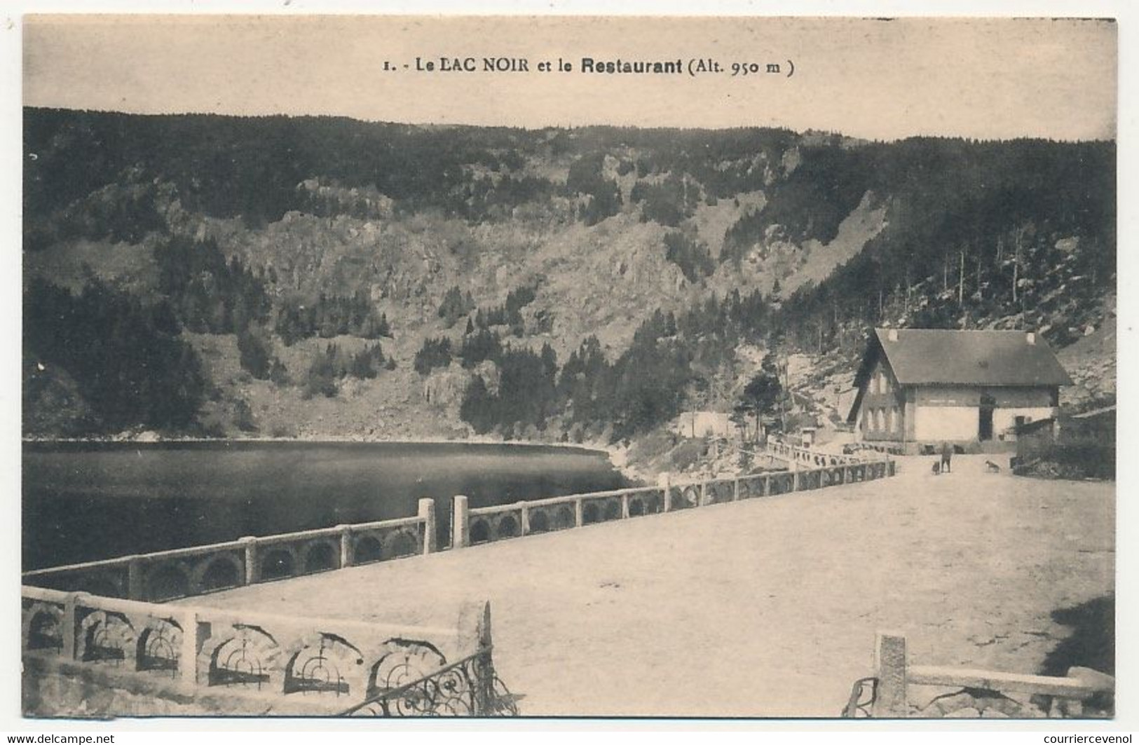 6 CPA - LE LINGE et alentours (Vosges) - Col du Bonhomme, Cimetière du Wettstein, Linge Kopf, ...