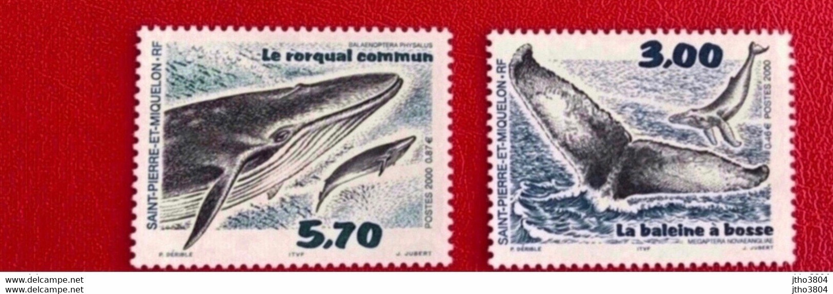 SAINT PIERRE ET MIQUELON SPM 2001  - 2 V Neuf MNH ** Baleine Rorqual YT 707 708 Faciale 1,33 € Cote 6,2 € - Unused Stamps