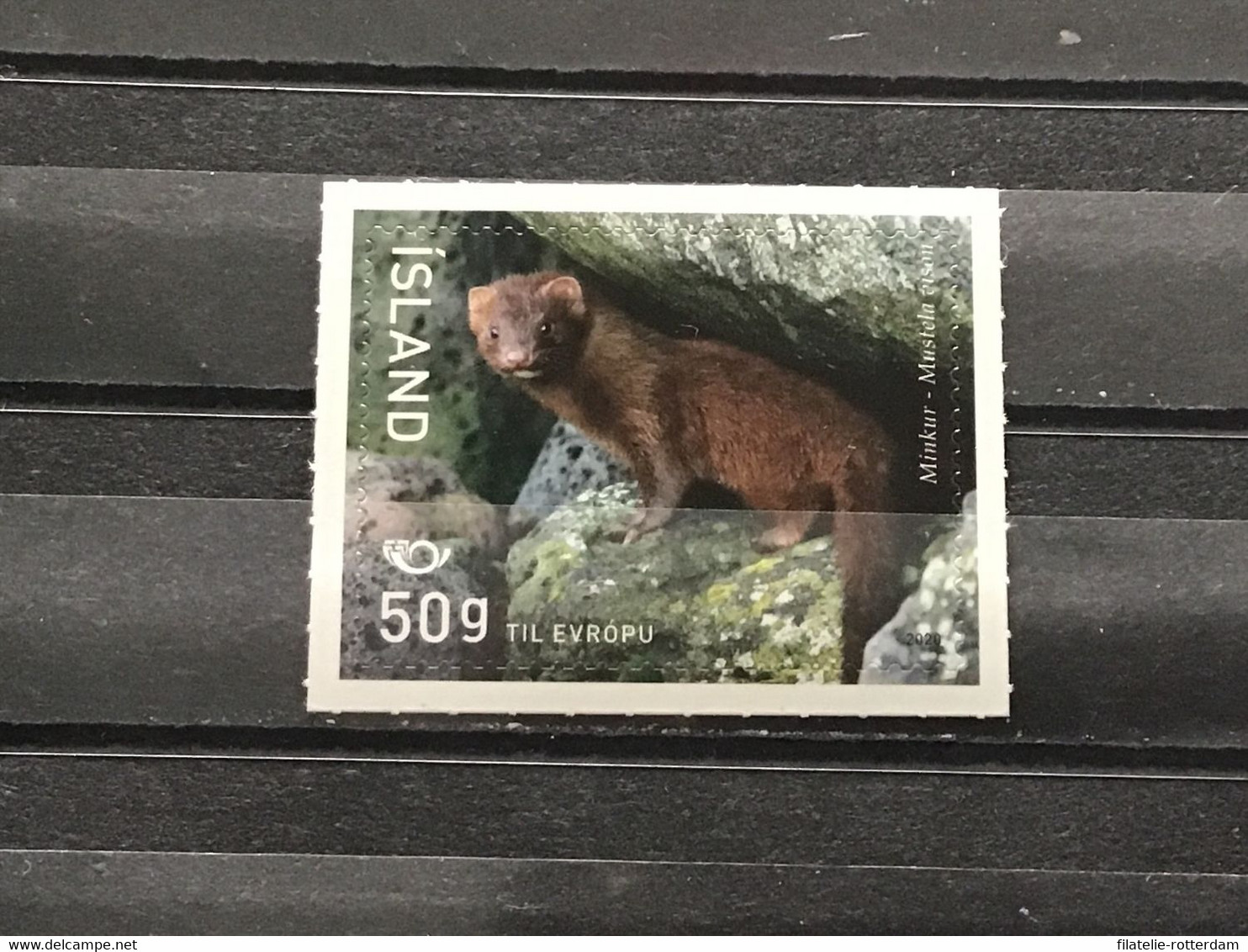 IJsland / Iceland - Postfris / MNH - Fauna 2020 - Ungebraucht