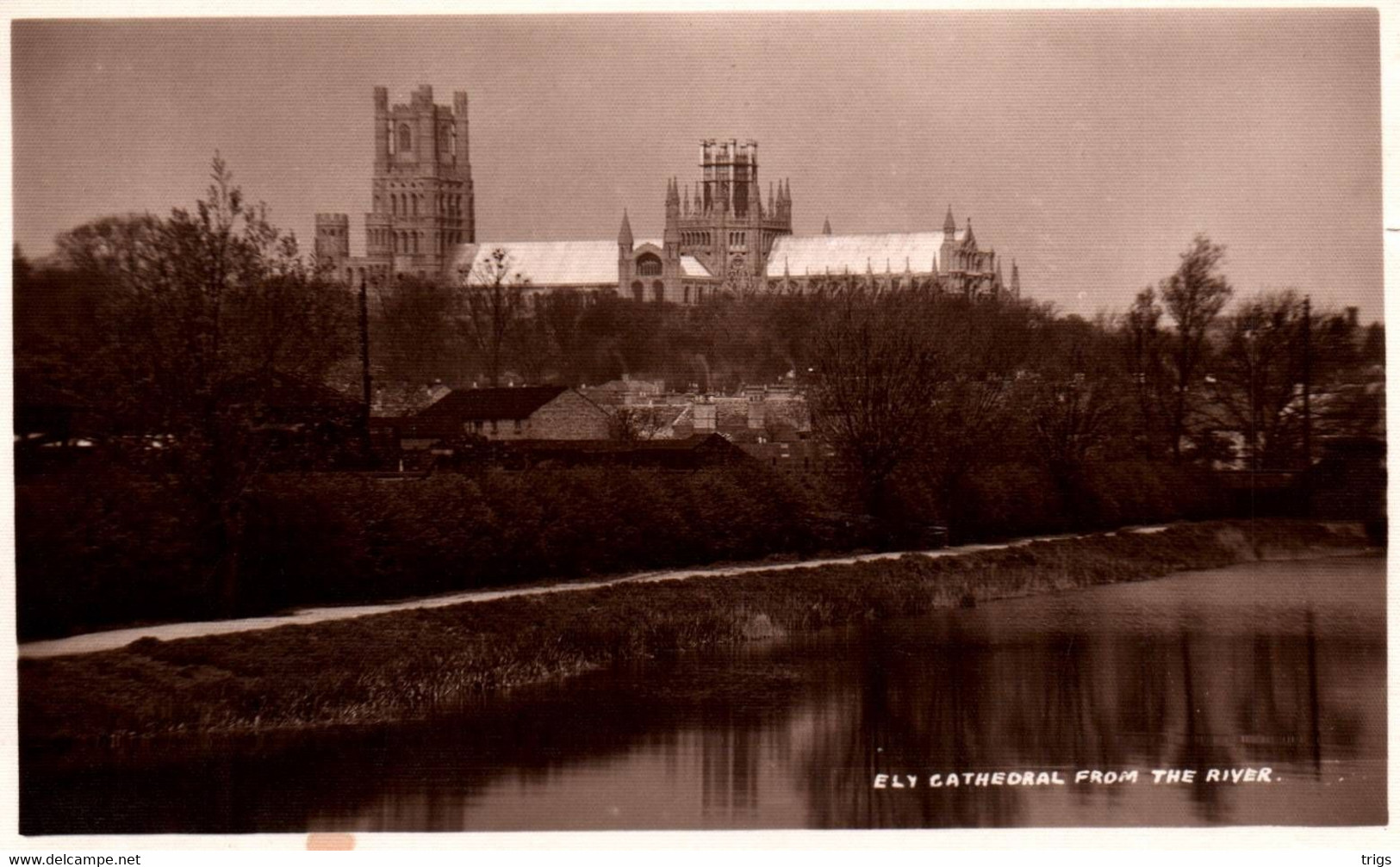 Ely - Cathedral From The River - Ely