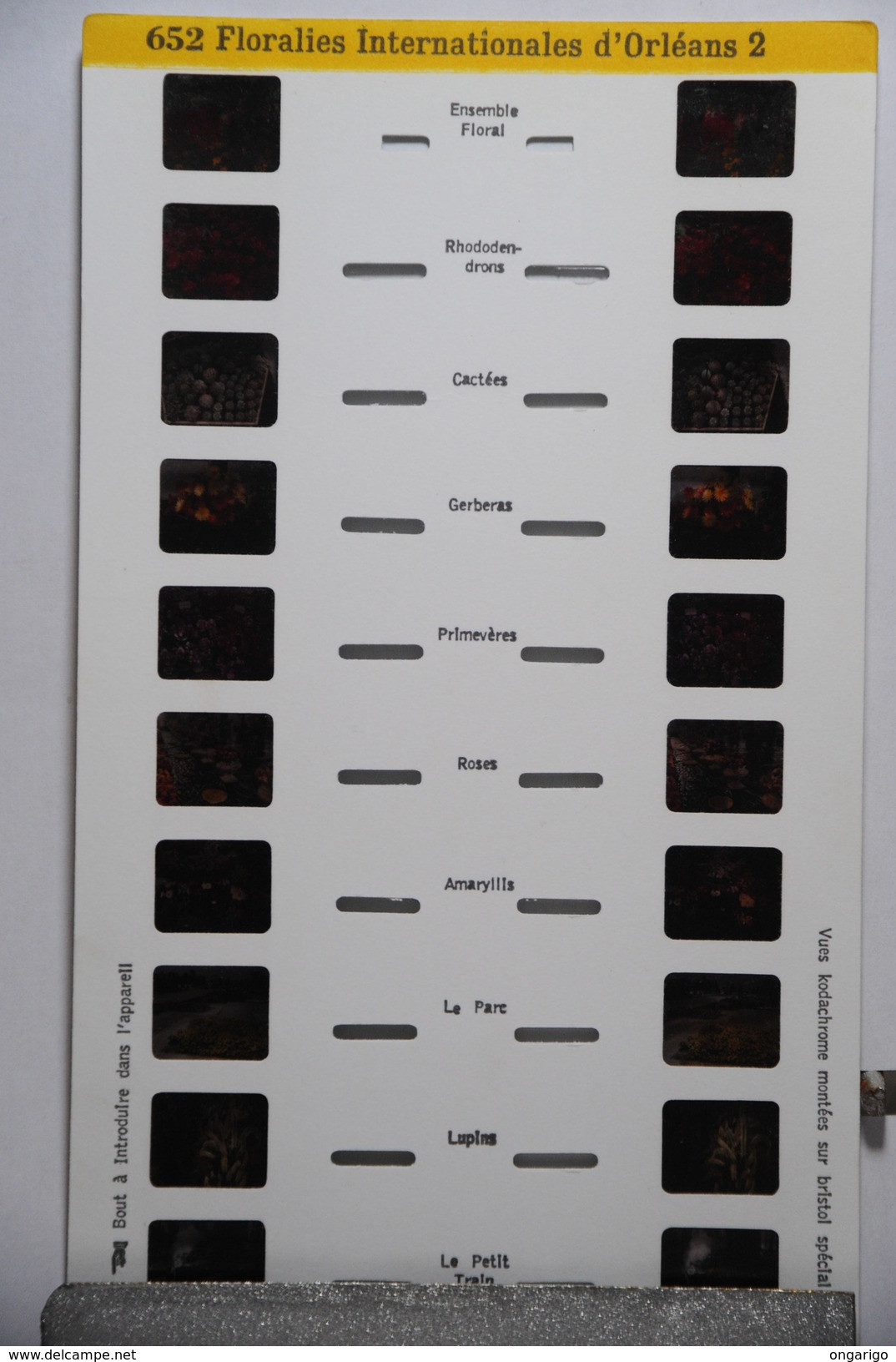 LESTRADE : 652  FLORALIES INTERNATIONALES D'ORLEANS 2 - Visionneuses Stéréoscopiques