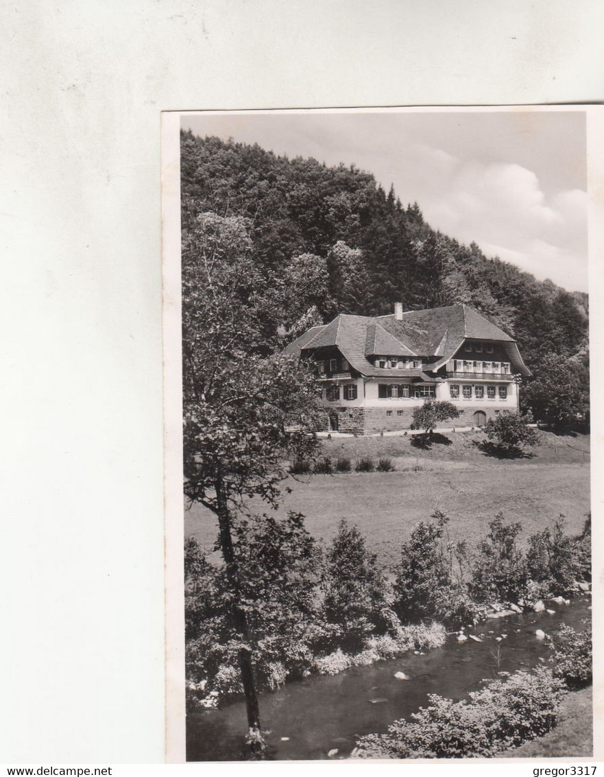 B6049) SCHAPBACH Im Wolftal - Schwarzwald - GASTHOF Zum OCHSEN - Bes. W. Armbruster ALT ! - Bad Rippoldsau - Schapbach