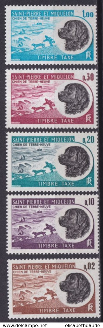 SPM - 1973 - TAXE - CHIENS DE TERRE-NEUVE - SERIE COMPLETE YVERT N°77/81 **  MNH - COTE = 28 EUR. - Nuovi