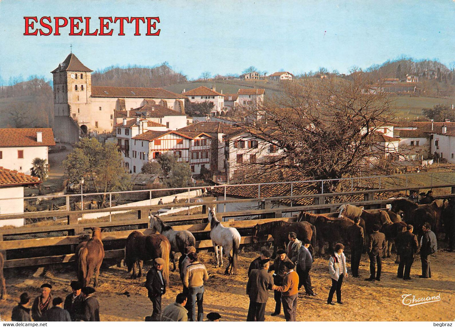 ESPELETTE    FOIRE AUX POTTOKS - Espelette