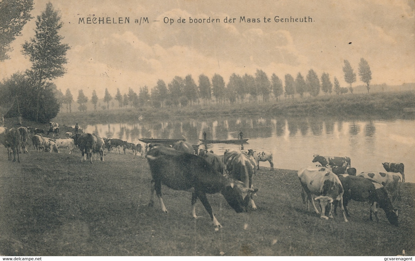 MECHELEN AAN MAAS - OP DE BOORDEN DER MAAS TE GENHEUTH  -  2 SCANS - Maasmechelen