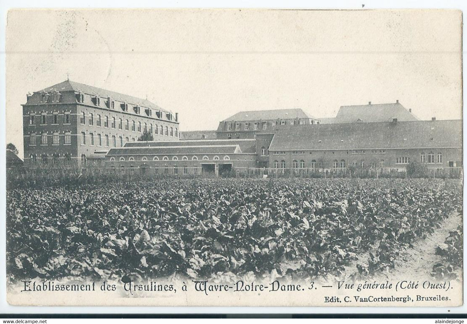 Wavre-Notre-Dame - Onze-Lieve-Vrouw-Waver - Institut Des Ursulines - Vue Générale (Côté Ouest) - 1908 - Sint-Katelijne-Waver