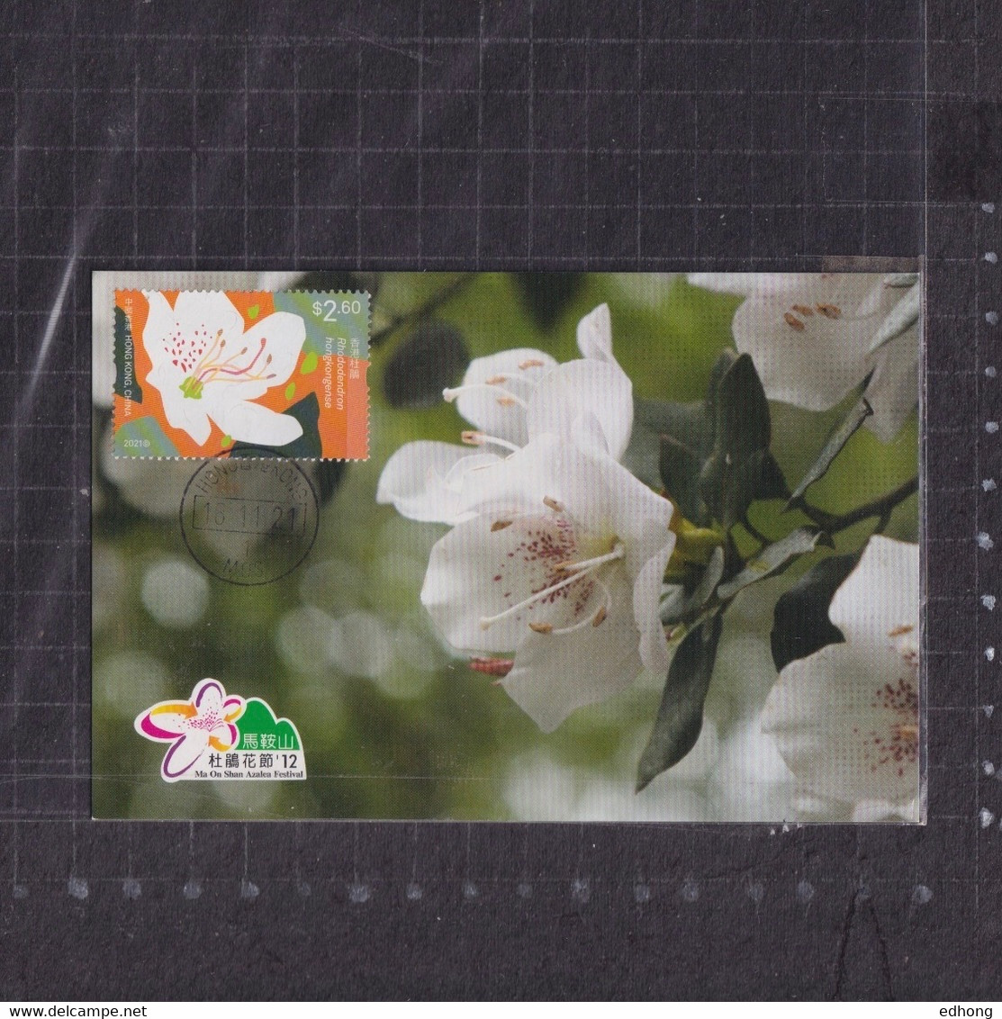 [Carte Maximum / Maximum Card /  Maximumkarte] Hong Kong 2021 | Domestic Flowers - Azalea, Datestamp With Maonshan - Cartes-maximum