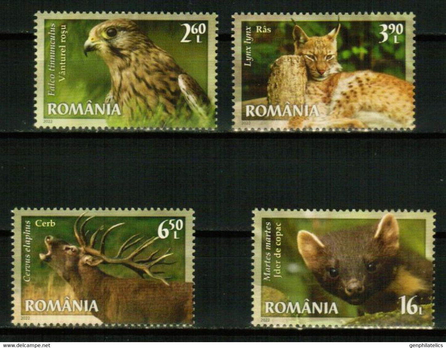 ROMANIA 2022 FAUNA Animals - Fine Set MNH - Nuovi