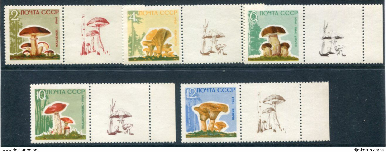 SOVIET UNION 1964 Fungi On Varnished  Paper With Labels MNH / **.  Michel 2983-87y Zf - Nuovi