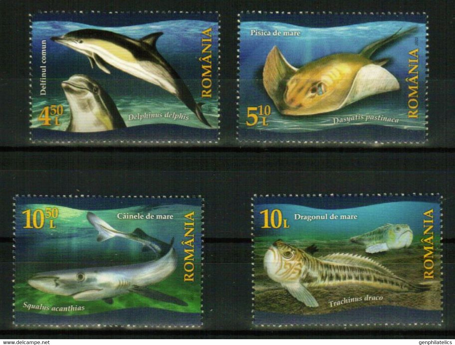 ROMANIA 2022 FAUNA Animals FISH - Fine Set MNH - Nuovi