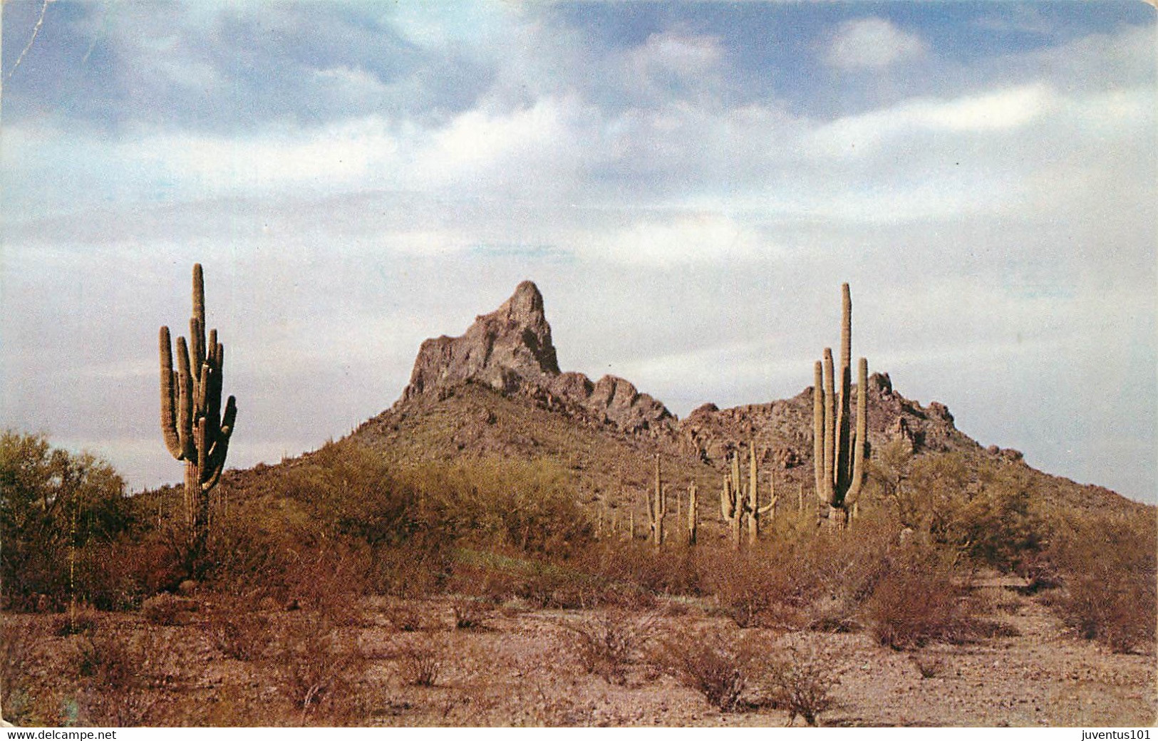 CPSM Picacho Peak Tucson,Arizona      L1723 - Tucson