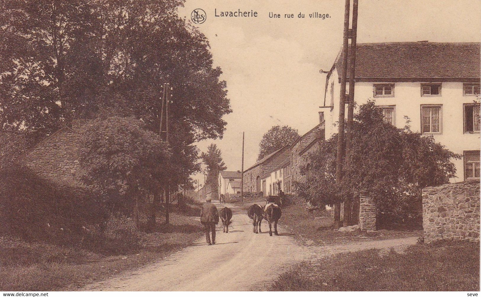 LAVACHERIE Ardennes Belges Rue Du Village Dos Divisé Non Postée - Sainte-Ode