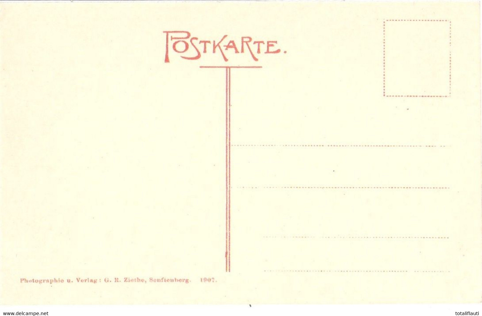 SENFTENBERG Niederlausitz Markt Color 1907 Hochglanz TOP-Erhaltung Ungelaufen - Senftenberg