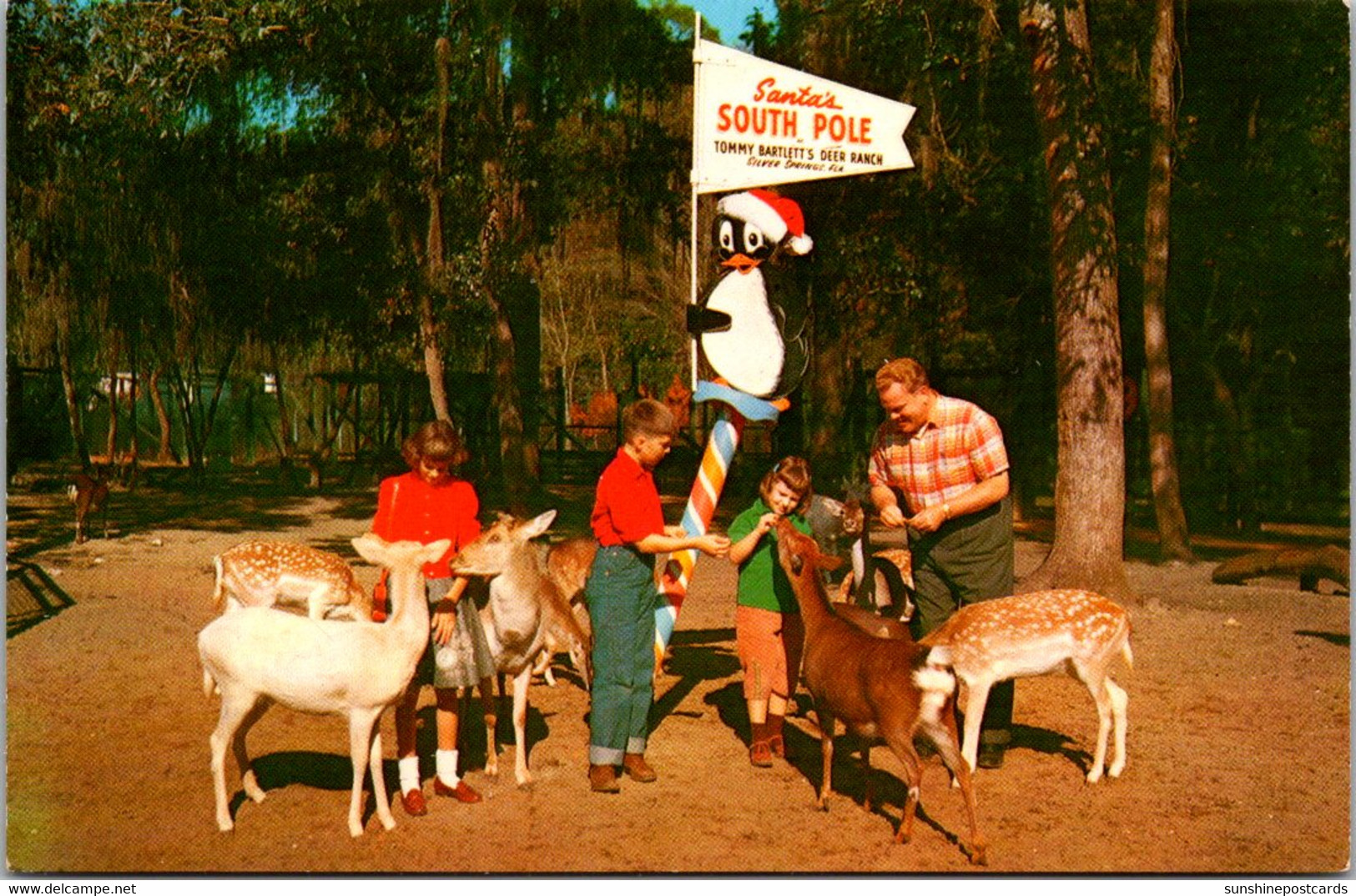 Florida Silver Springs Tommy Bartlett's Deer Ranch Santa's South Pole Children Feeding Deer - Silver Springs