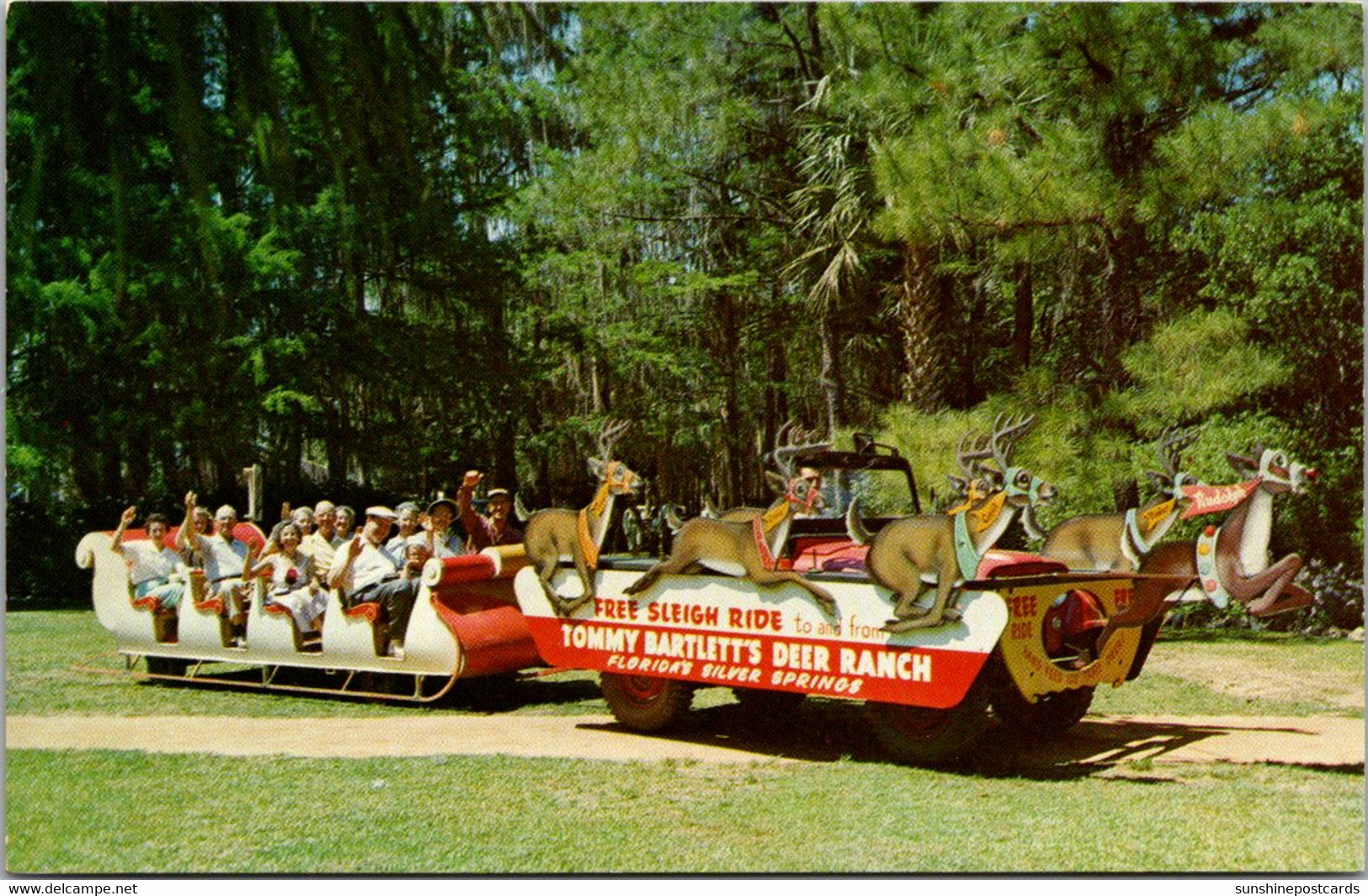 Florida Silver Springs Tommy Bartlett's Deer Ranch Sleigh Ride - Silver Springs