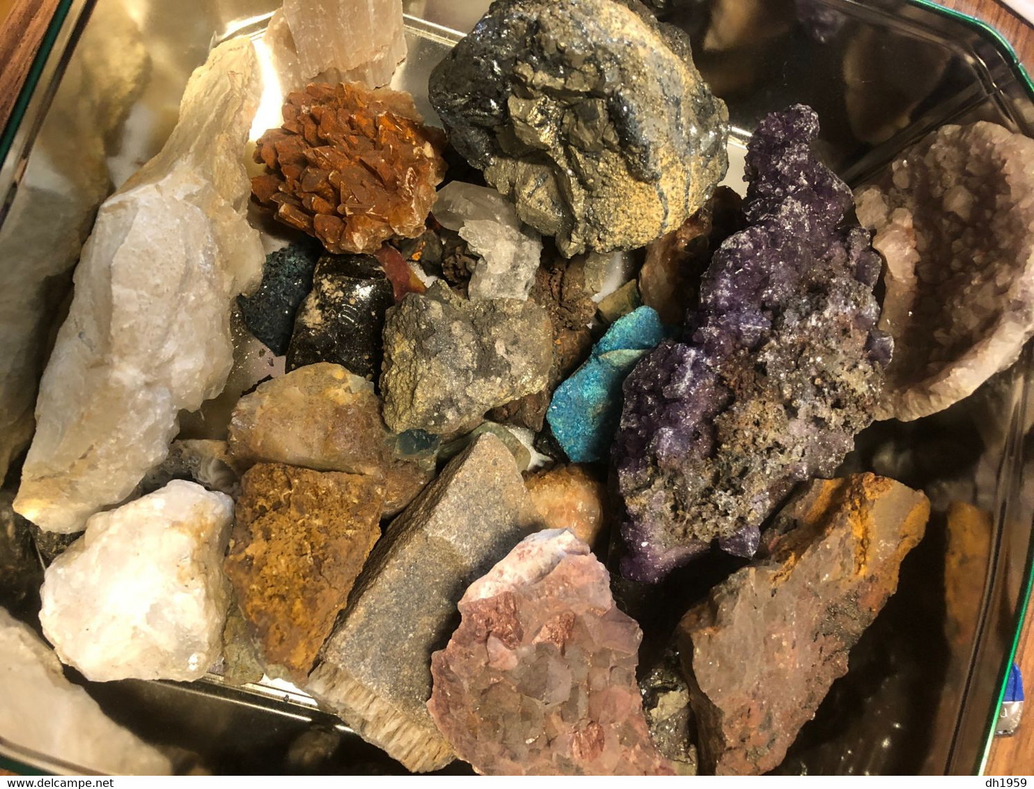 LOT DE MINERAUX Env. 5 Kg MINERALS FOSSILE FOSILLES COQUILLAGES........................................................ - Other & Unclassified