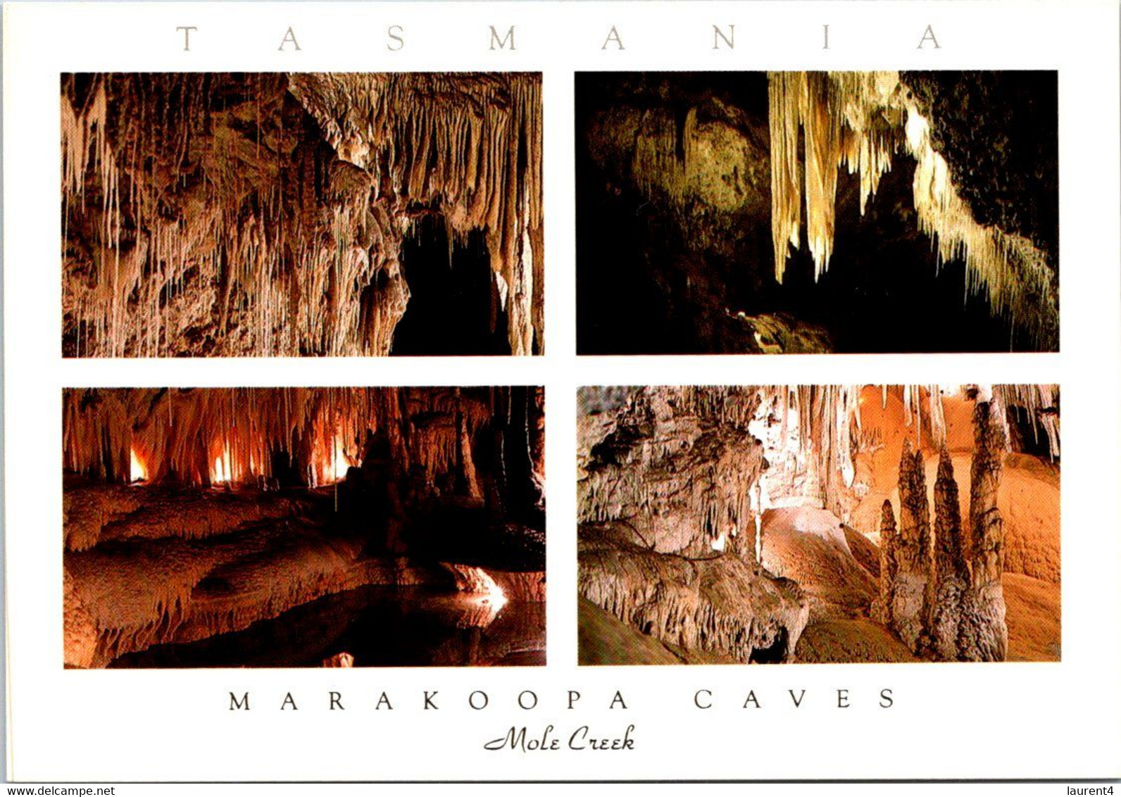 (1 J 23) Australia - TAS - Marakoopa Caves - Wilderness