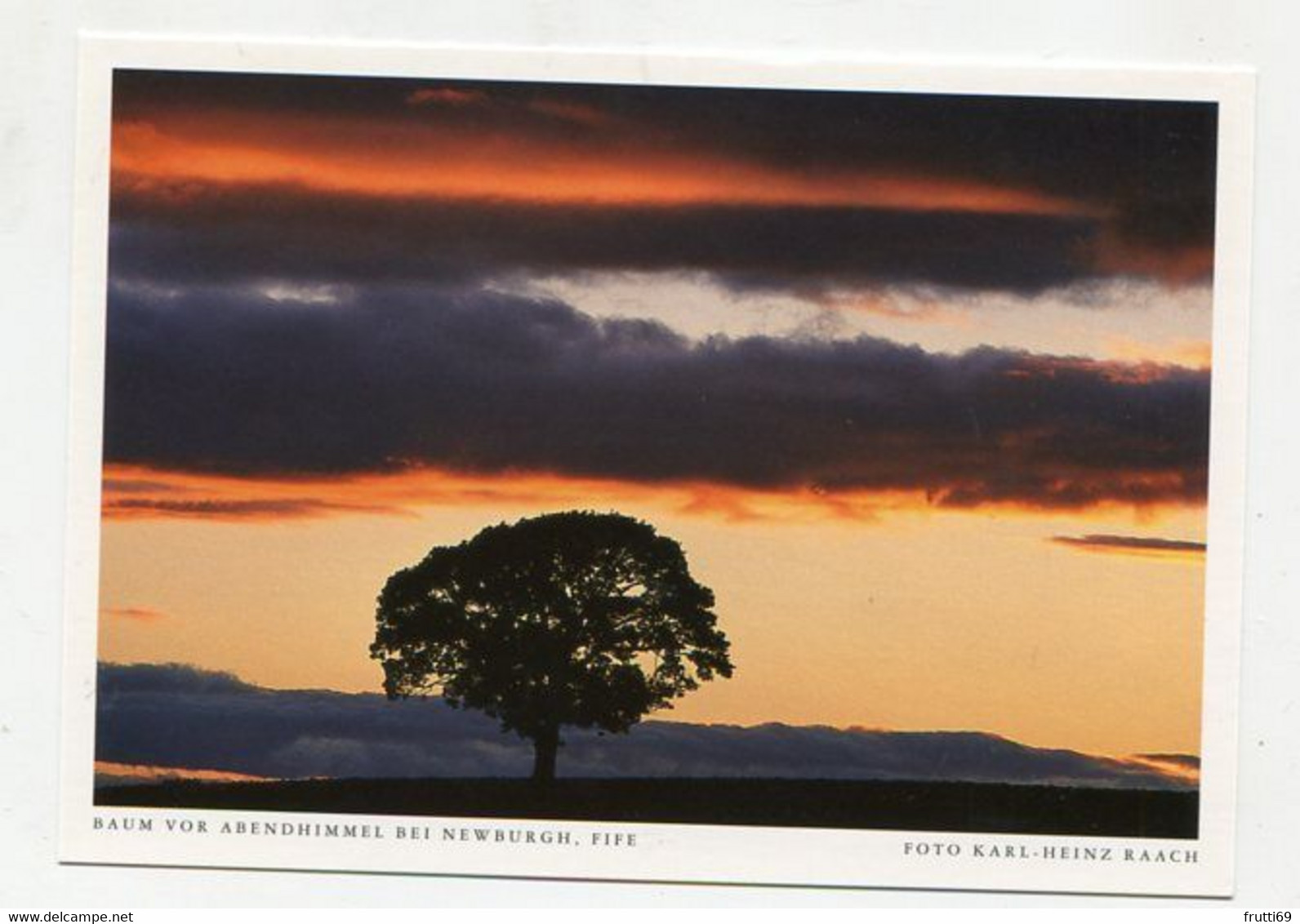 AK 074963 SCOTLAND - Baum Vor Abendhimmel Bei Newburgh - Fife