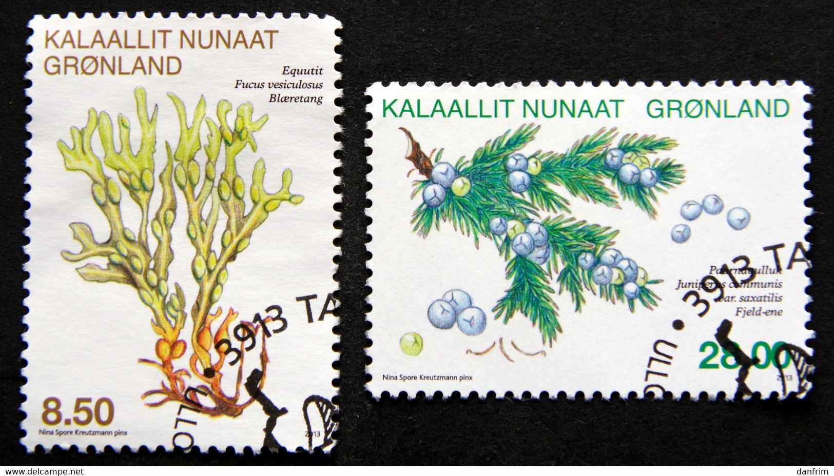 GREENLAND 2013 Flora Plants  Minr.643-44      (lot H 35) - Gebraucht