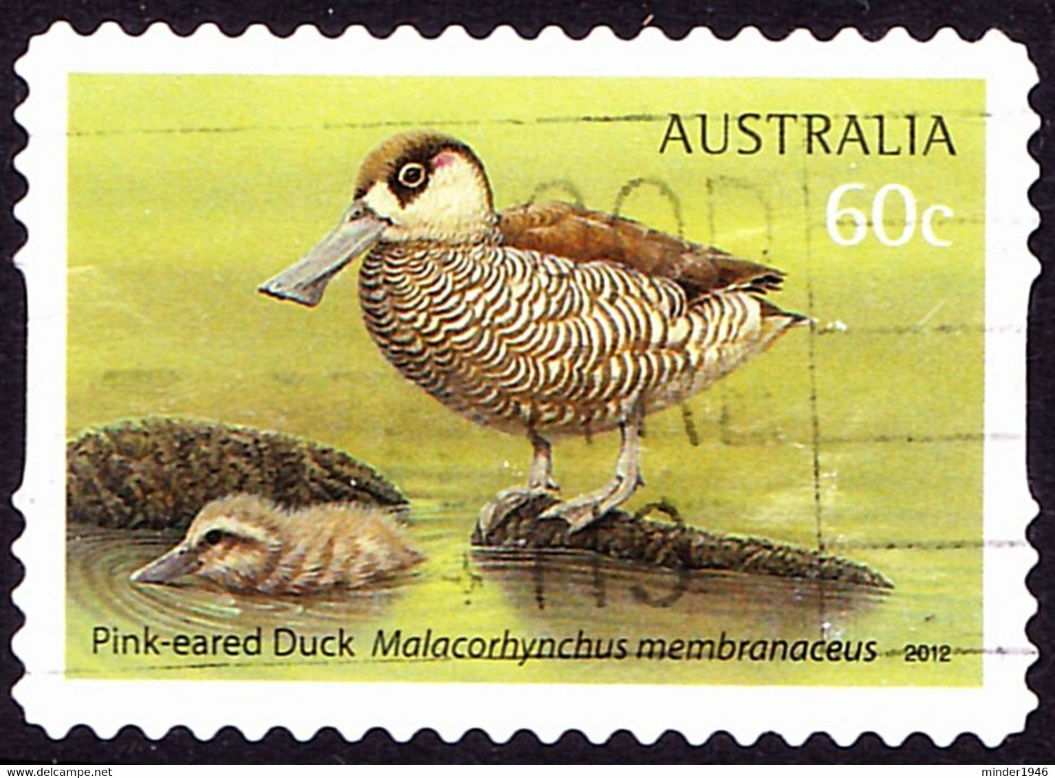 AUSTRALIA 2012 60c Multicoloured, Australian Water Birds-Pink-Eared Duck Self Adhesive Used - Used Stamps